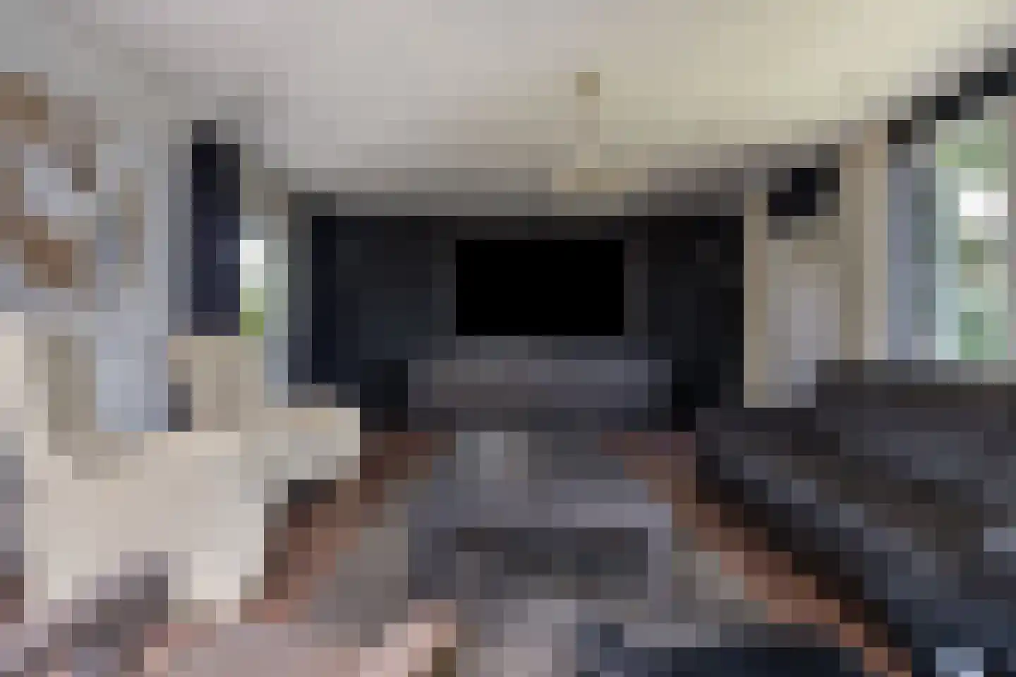 Geldropseweg 442 Eindhoven thumbnail 22