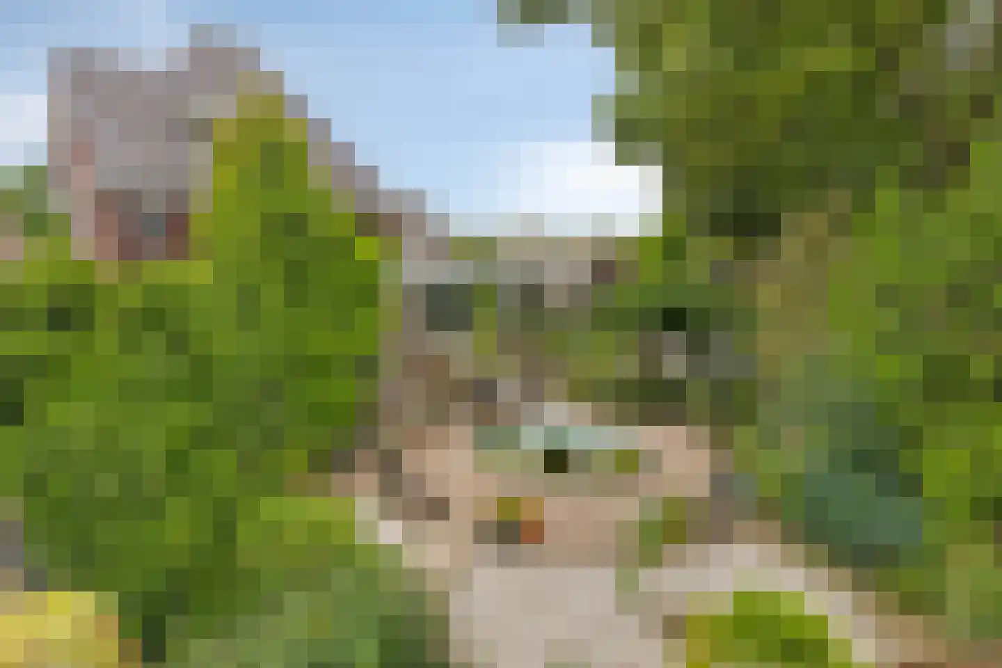 Geldropseweg 442 Eindhoven thumbnail 42