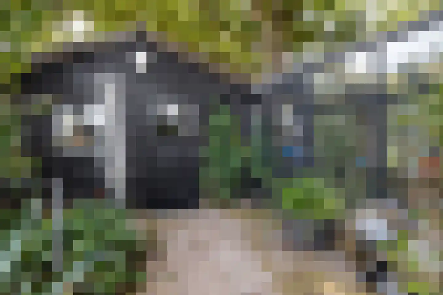 Geldropseweg 442 Eindhoven thumbnail 52