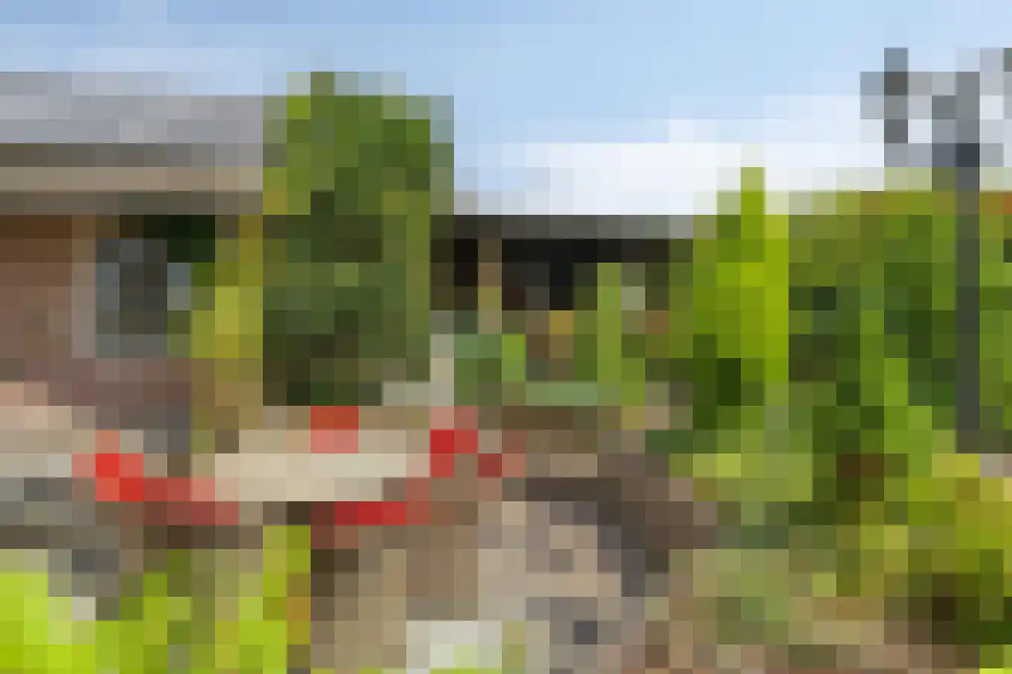 Geldropseweg 442 Eindhoven thumbnail 53