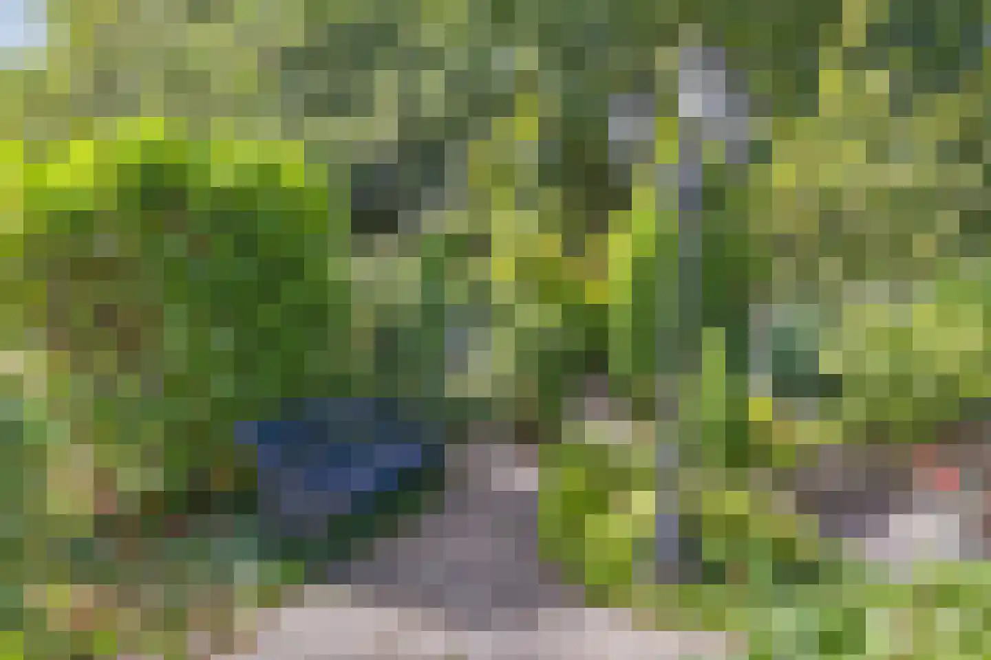 Geldropseweg 442 Eindhoven thumbnail 54