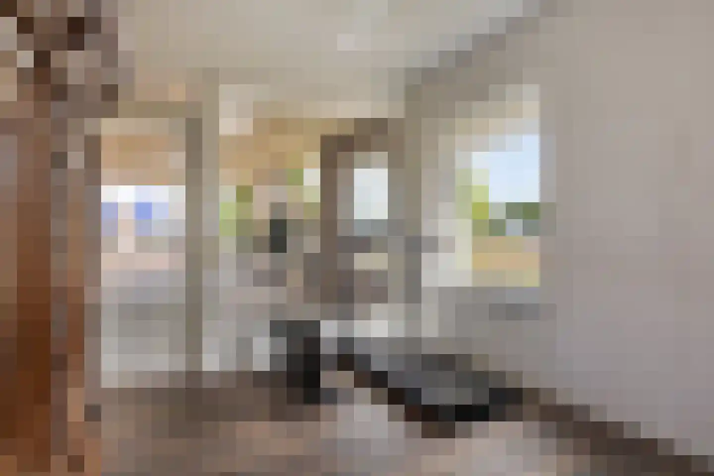 Geldropseweg 442 Eindhoven thumbnail 58