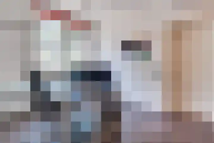Geldropseweg 47 Heeze thumbnail 10