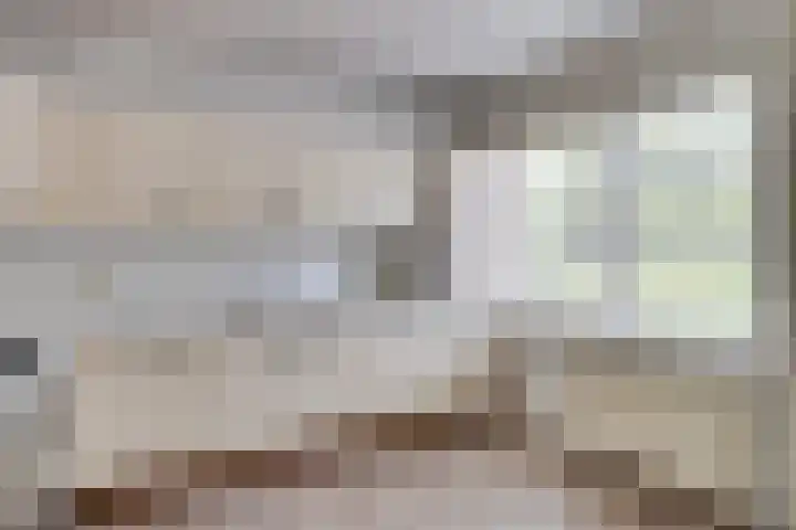 Geldropseweg 47 Heeze thumbnail 18