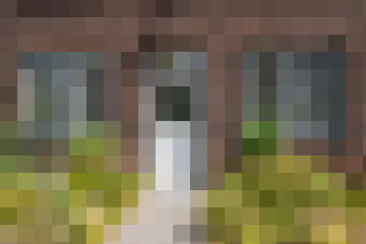 Geldropseweg 47 Heeze thumbnail 5