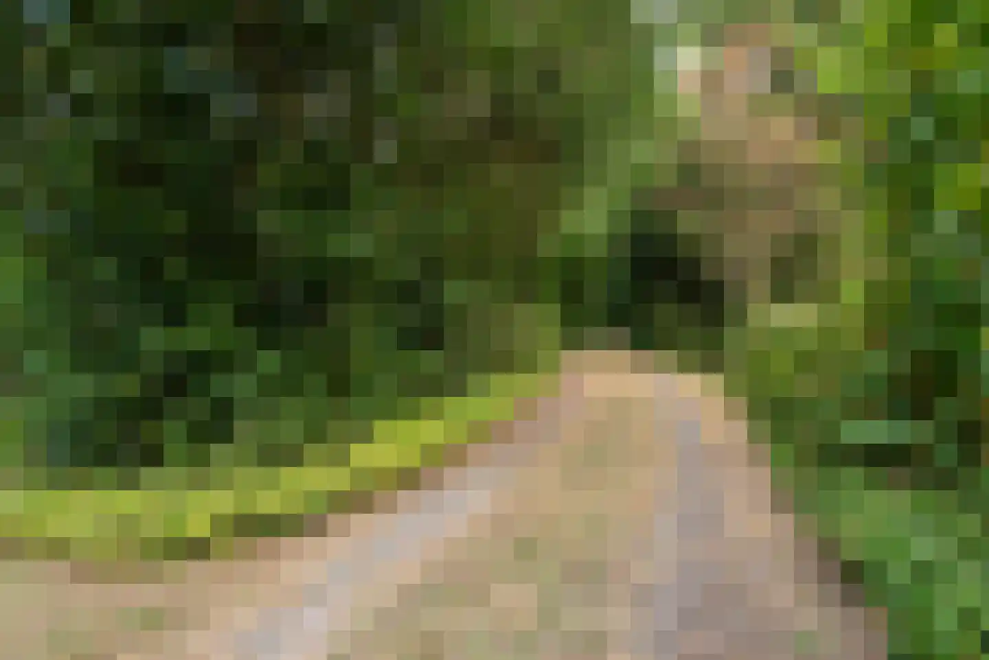 Geldropseweg 53 A Helmond thumbnail 33