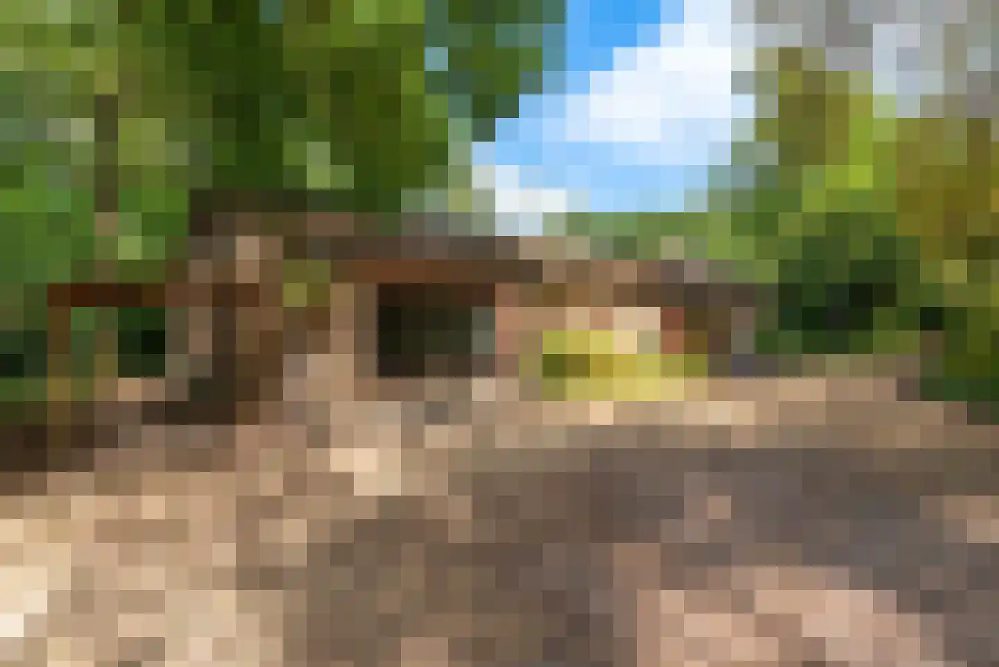 Geldropseweg 53 A Helmond thumbnail 38