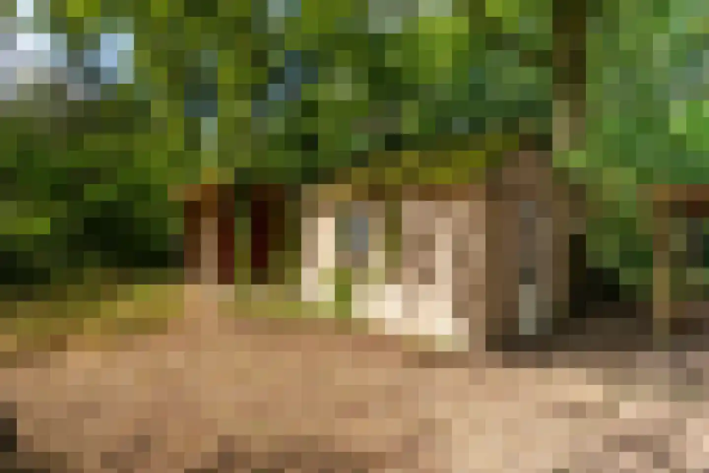 Geldropseweg 53 A Helmond thumbnail 39