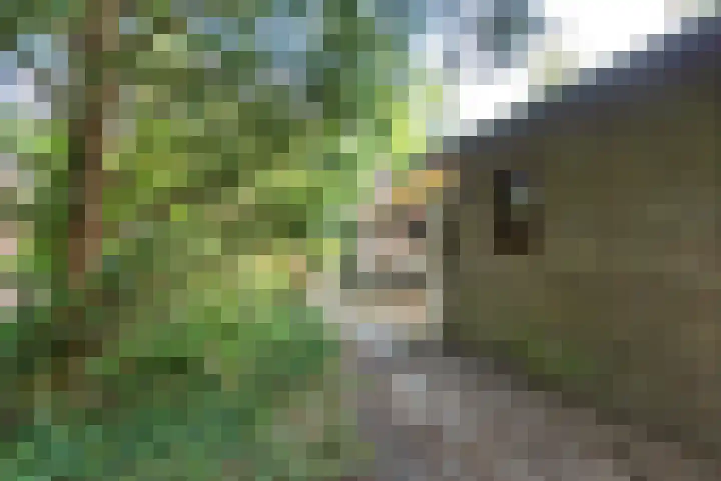 Geldropseweg 53 A Helmond thumbnail 44