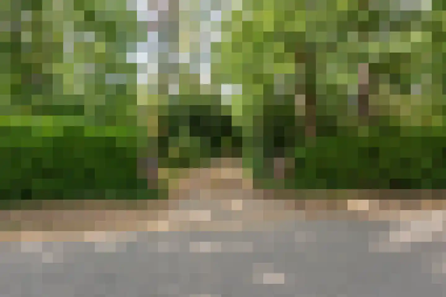 Geldropseweg 53 A Helmond thumbnail 6