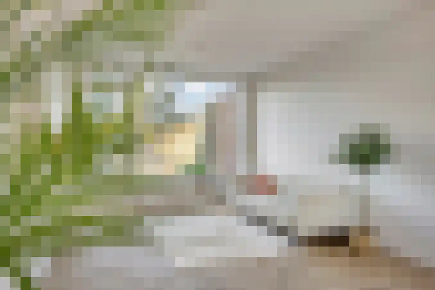 Geldropseweg 56 Eindhoven thumbnail 15