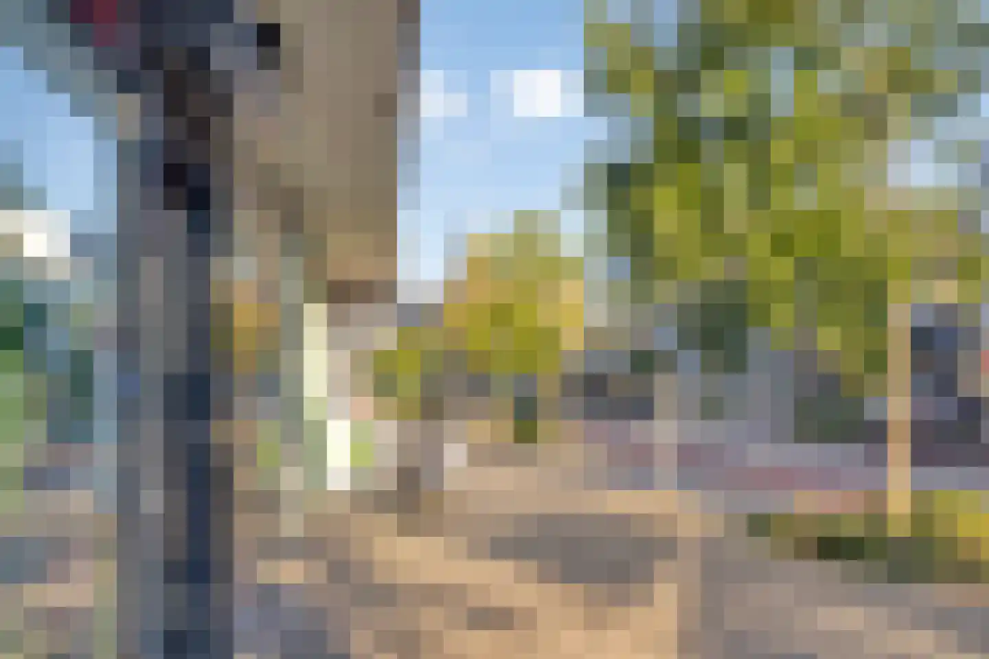Geldropseweg 56 Eindhoven thumbnail 36