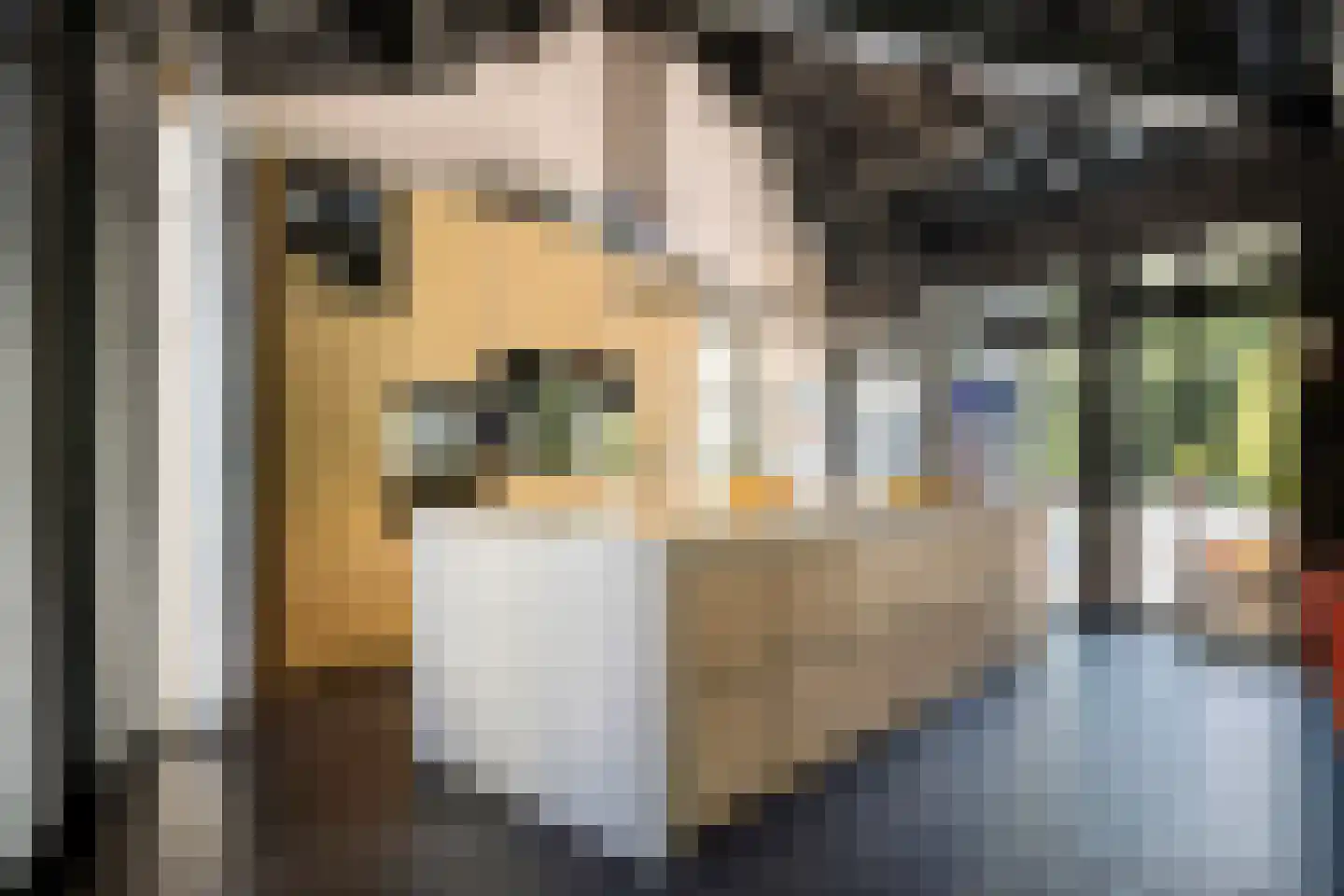 Geldropseweg 56 Heeze thumbnail 15