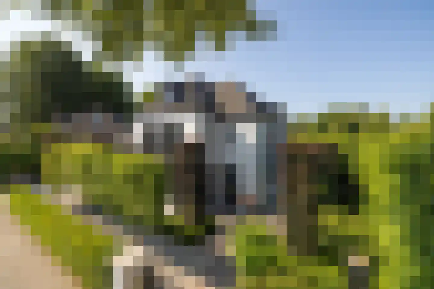 Geldropseweg 56 Heeze thumbnail 4