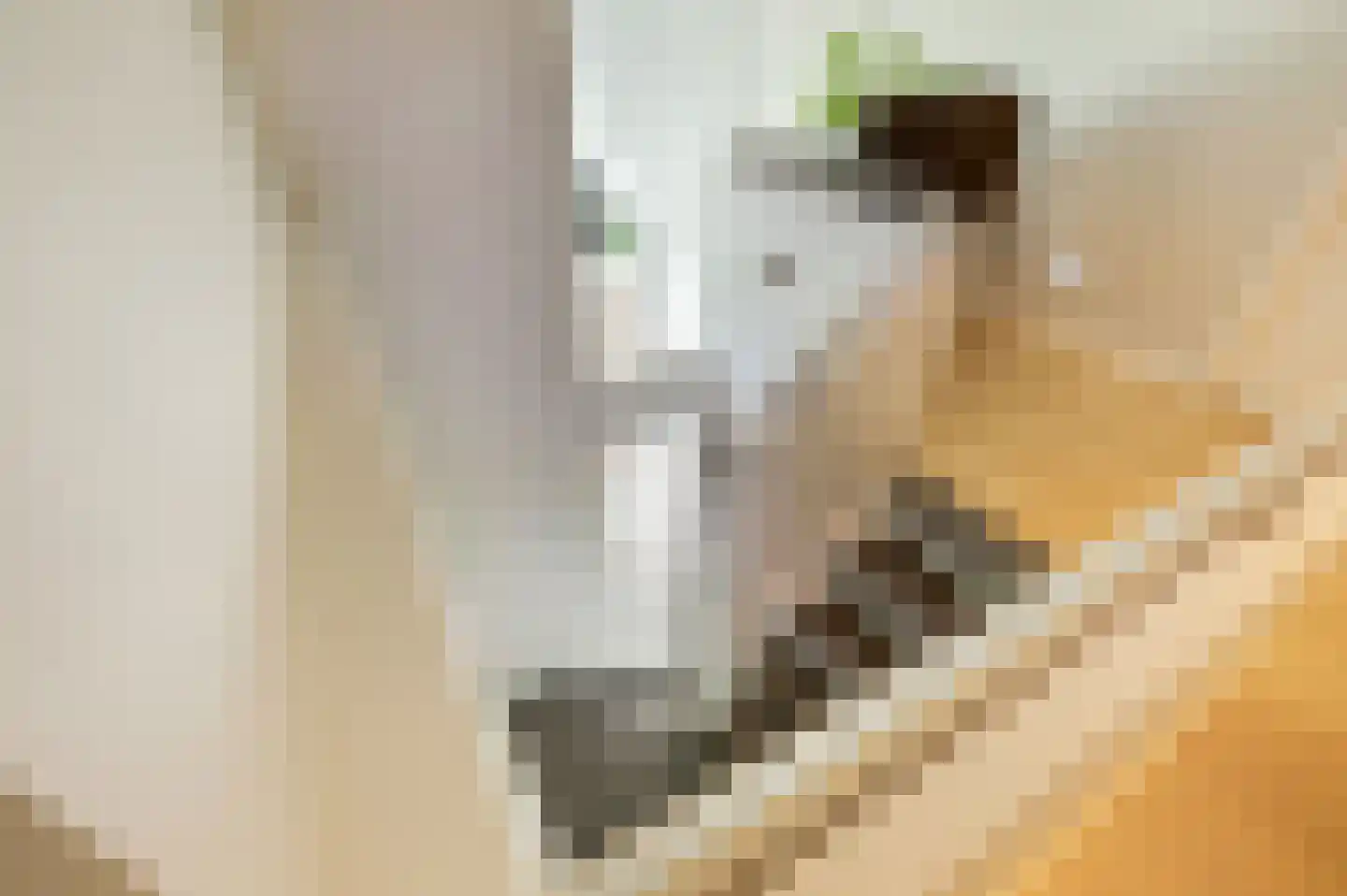 Geldropseweg 59 Heeze thumbnail 10