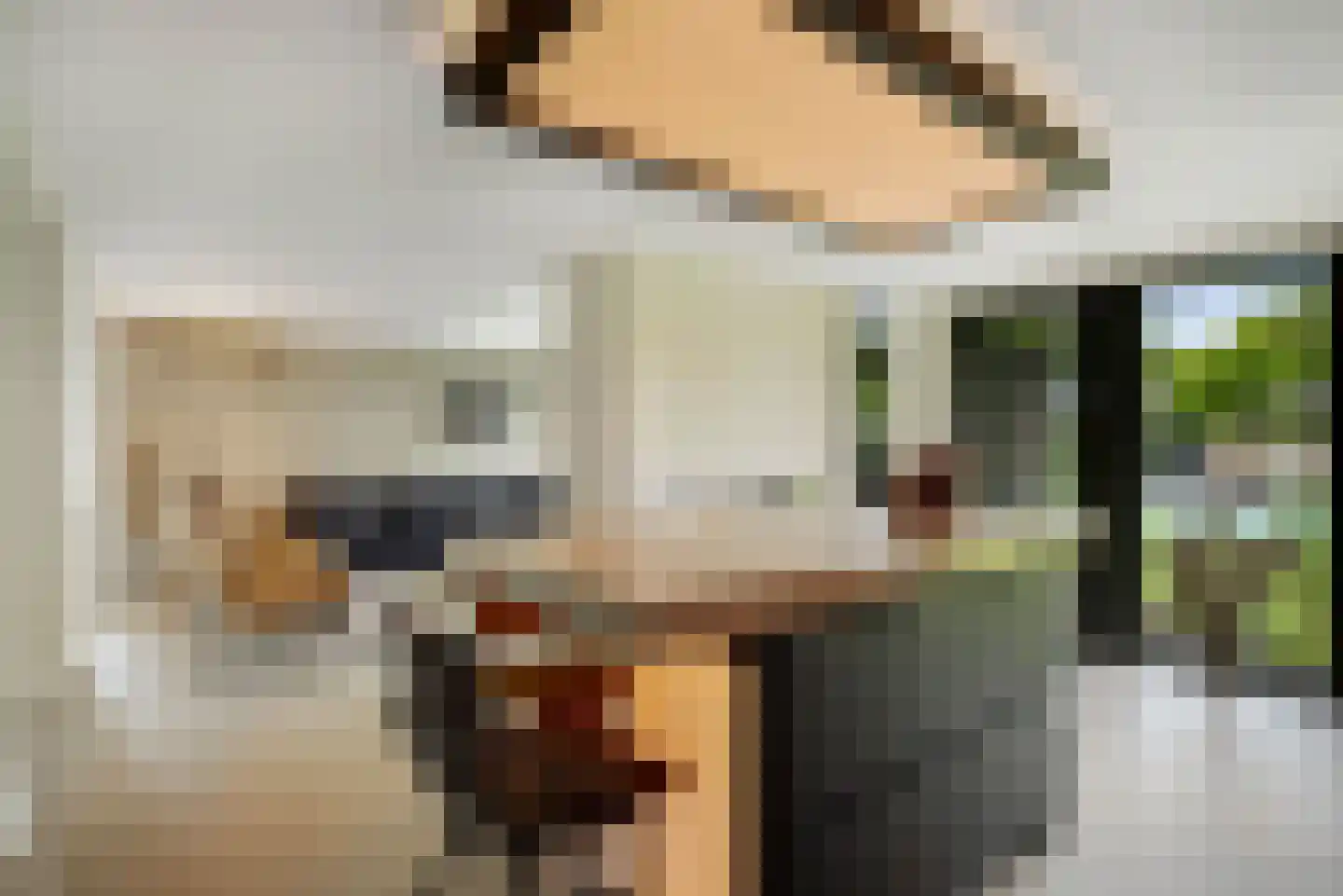 Geldropseweg 59 Heeze thumbnail 12