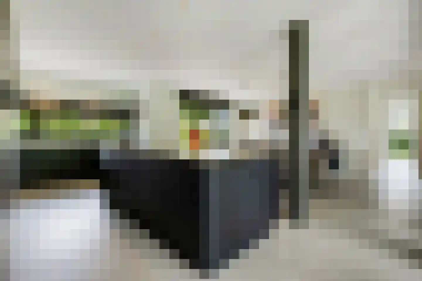 Geldropseweg 59 Heeze thumbnail 17