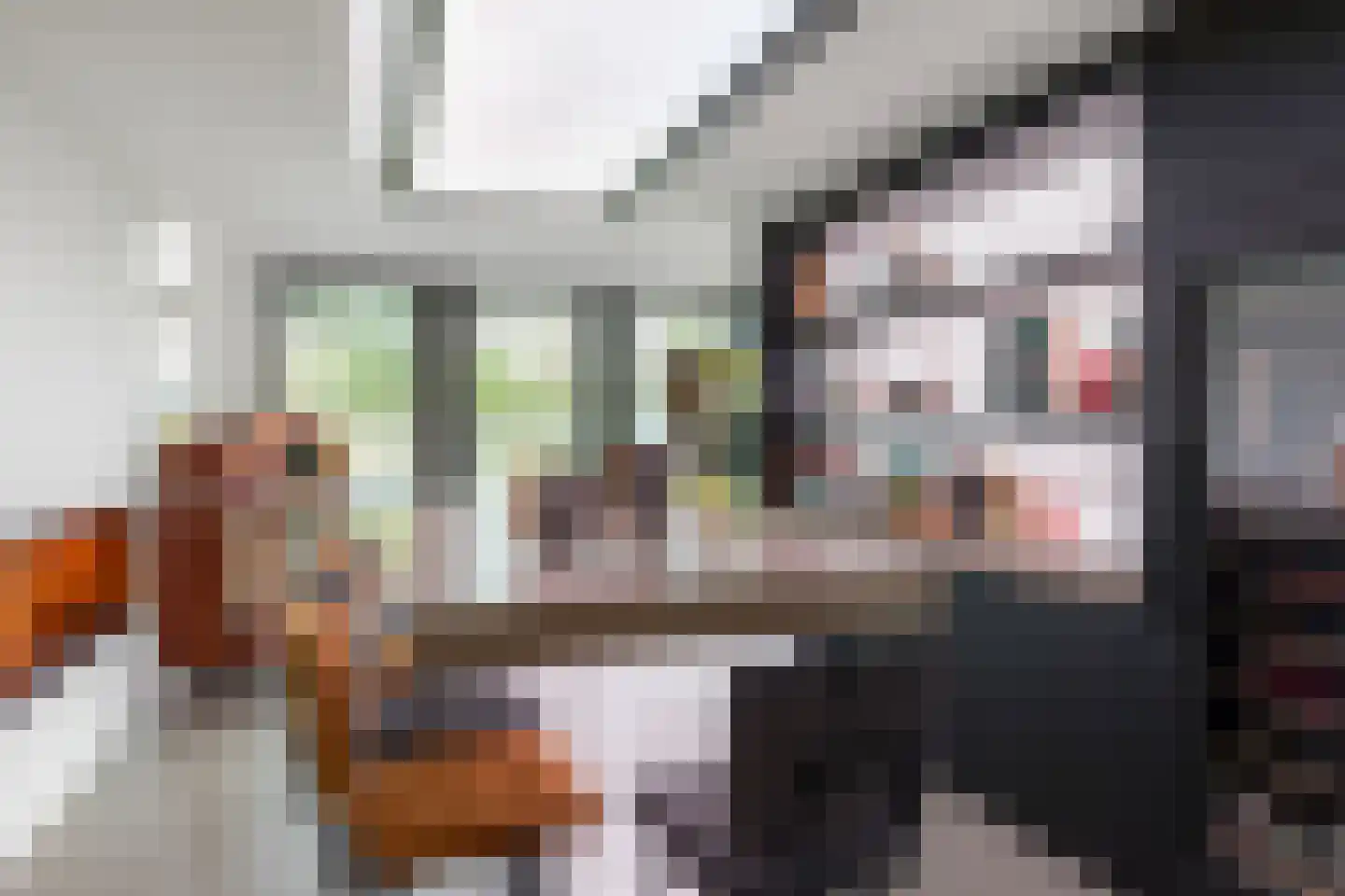 Geldropseweg 59 Heeze thumbnail 18