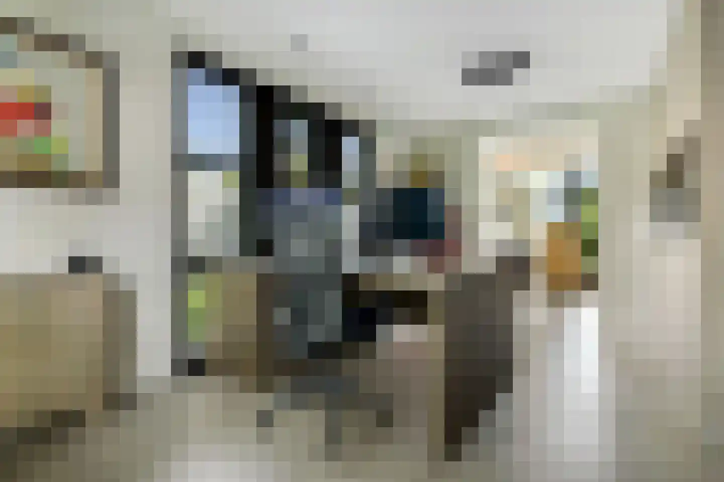 Geldropseweg 59 Heeze thumbnail 19