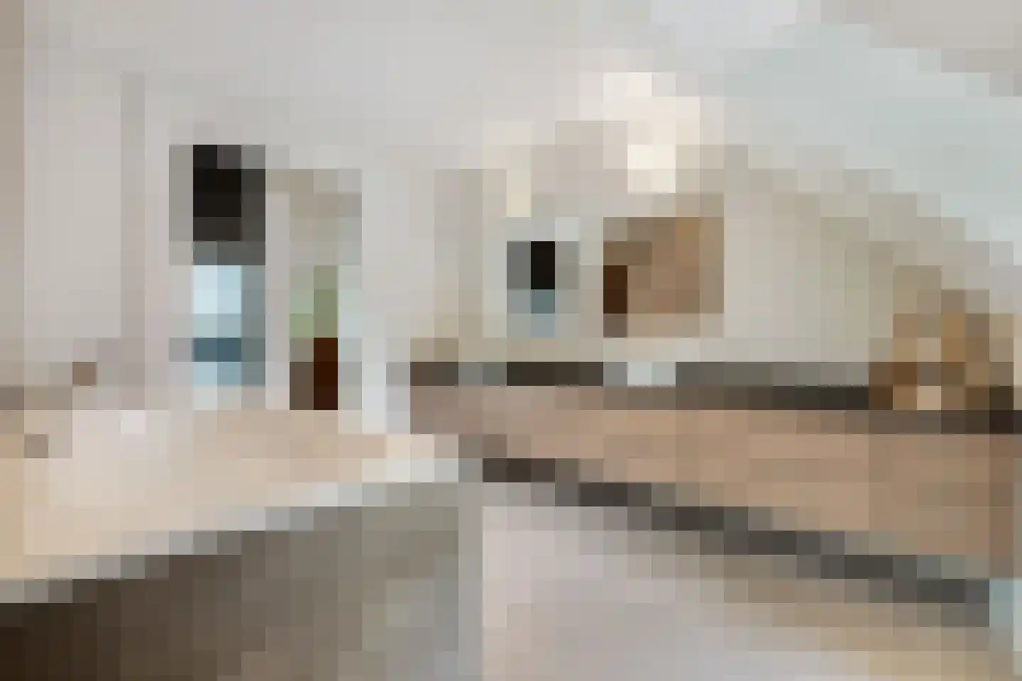 Geldropseweg 59 Heeze thumbnail 4