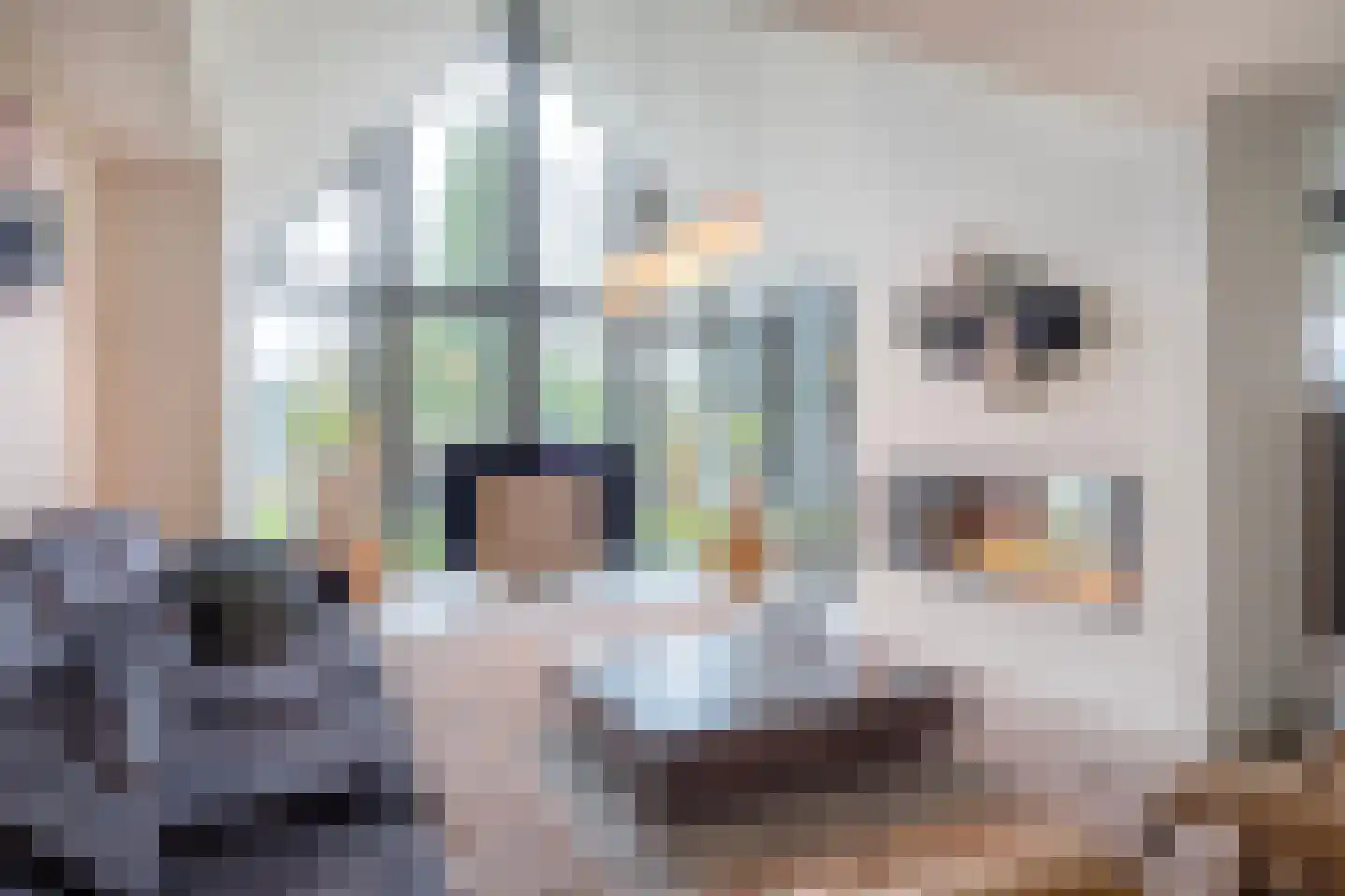 Geldropseweg 59 Heeze thumbnail 4