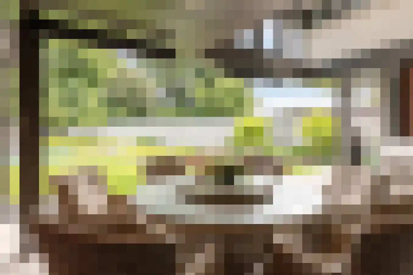 Geldropseweg 59 Heeze thumbnail 63