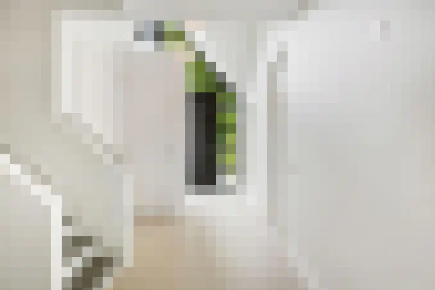 Geldropseweg 59 Heeze thumbnail 7