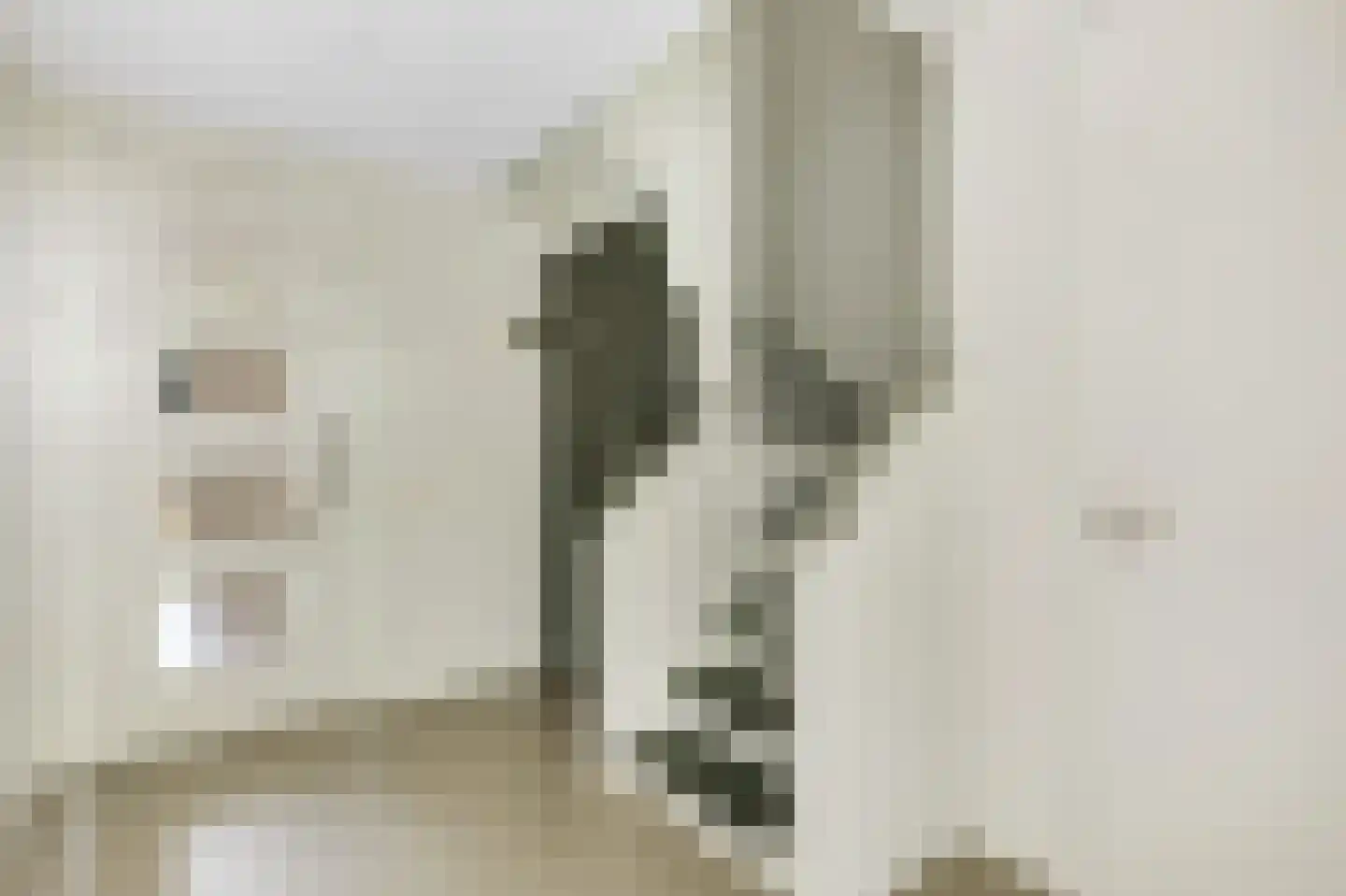 Geldropseweg 59 Heeze thumbnail 8