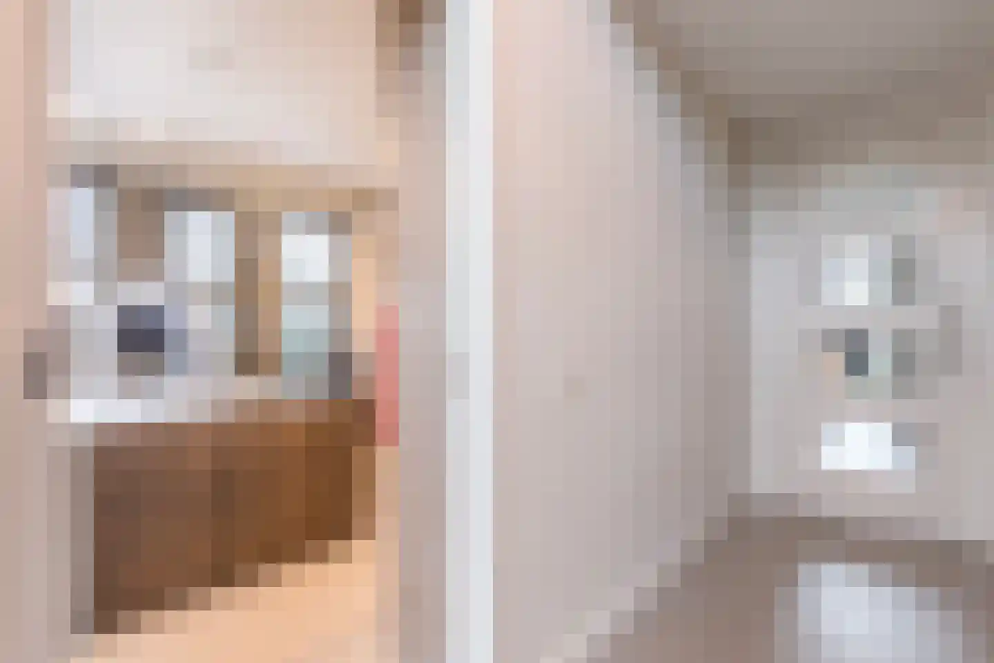 Geldropseweg 59 Heeze thumbnail 9