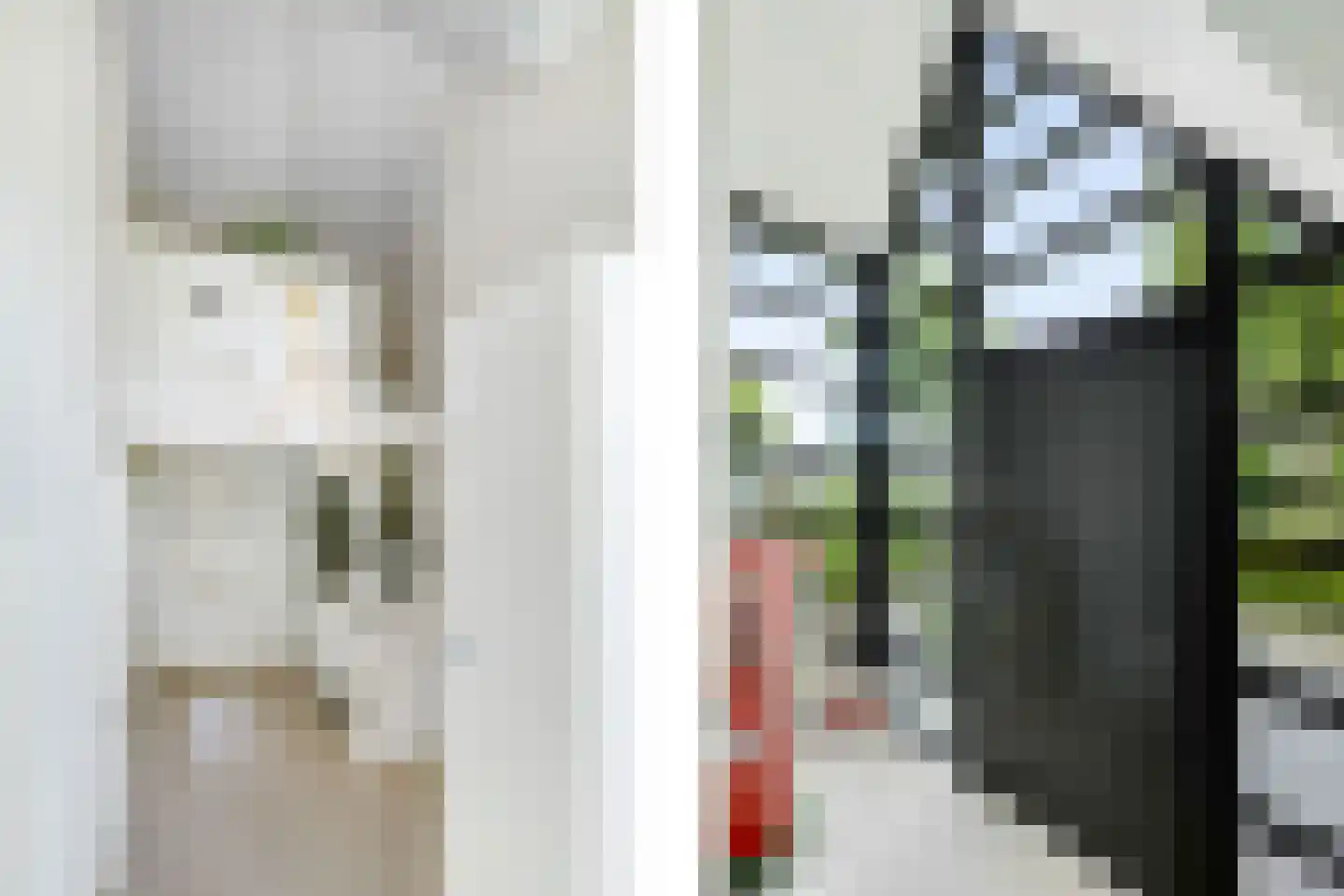 Geldropseweg 59 Heeze thumbnail 9