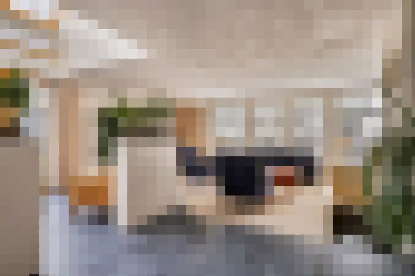 Geldropseweg 6 a Heeze thumbnail 11