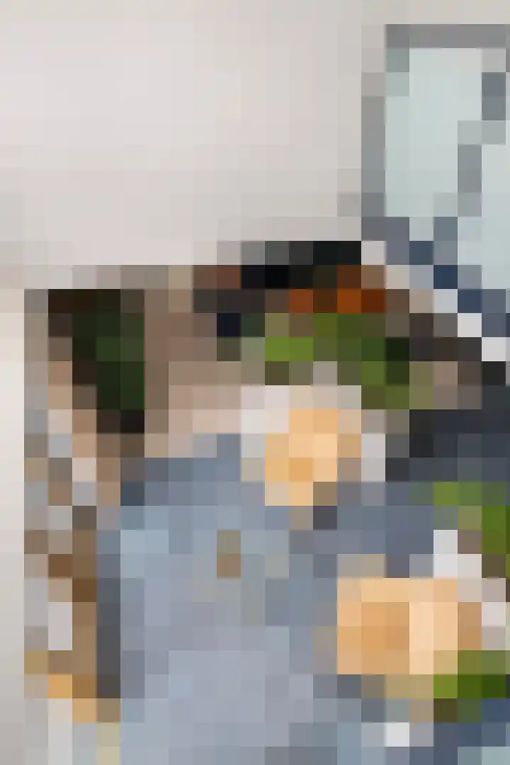 Geldropseweg 6 a Heeze thumbnail 11