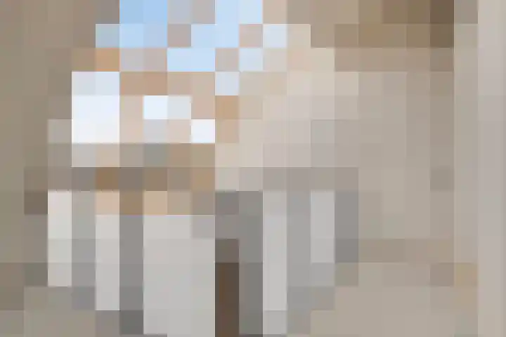 Geldropseweg 6 a Heeze thumbnail 26