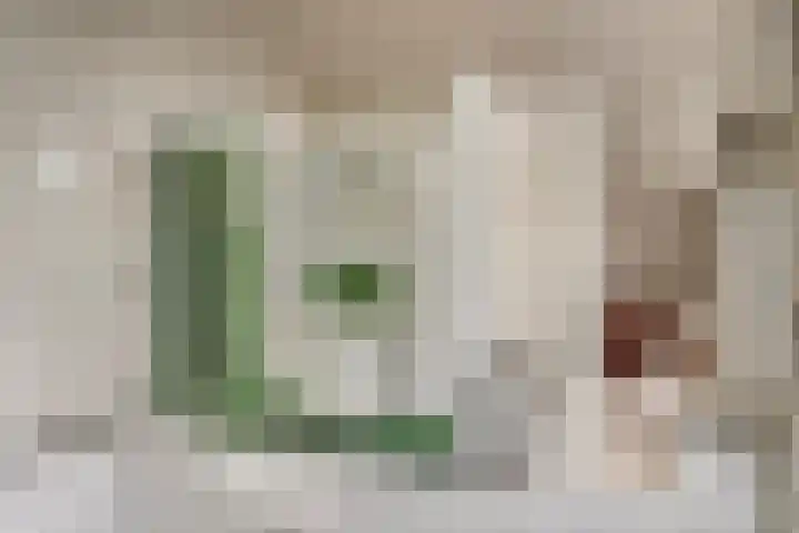 Geldropseweg 6 a Heeze thumbnail 30