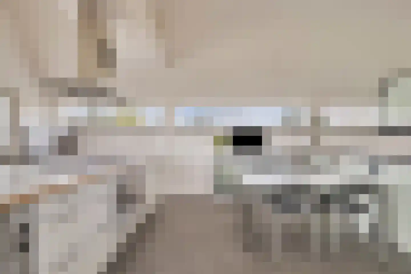 Geldropseweg 6 a Heeze thumbnail 31