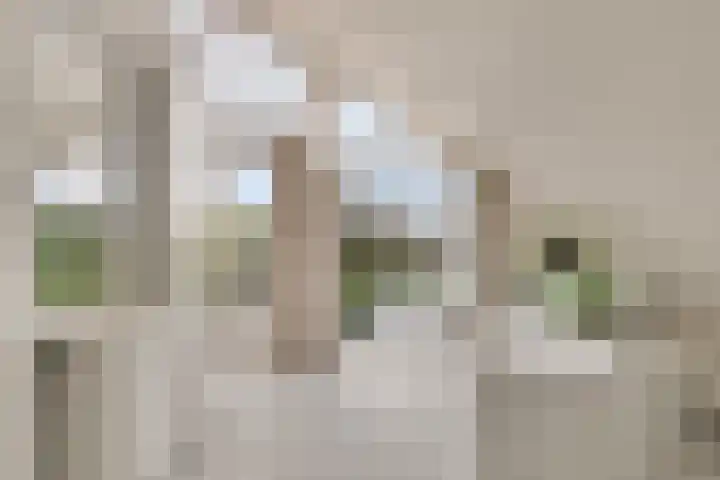 Geldropseweg 6 a Heeze thumbnail 32