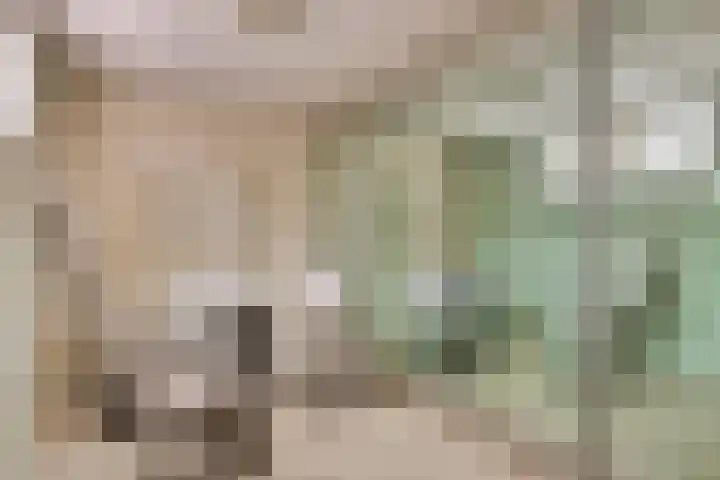 Geldropseweg 6 a Heeze thumbnail 37