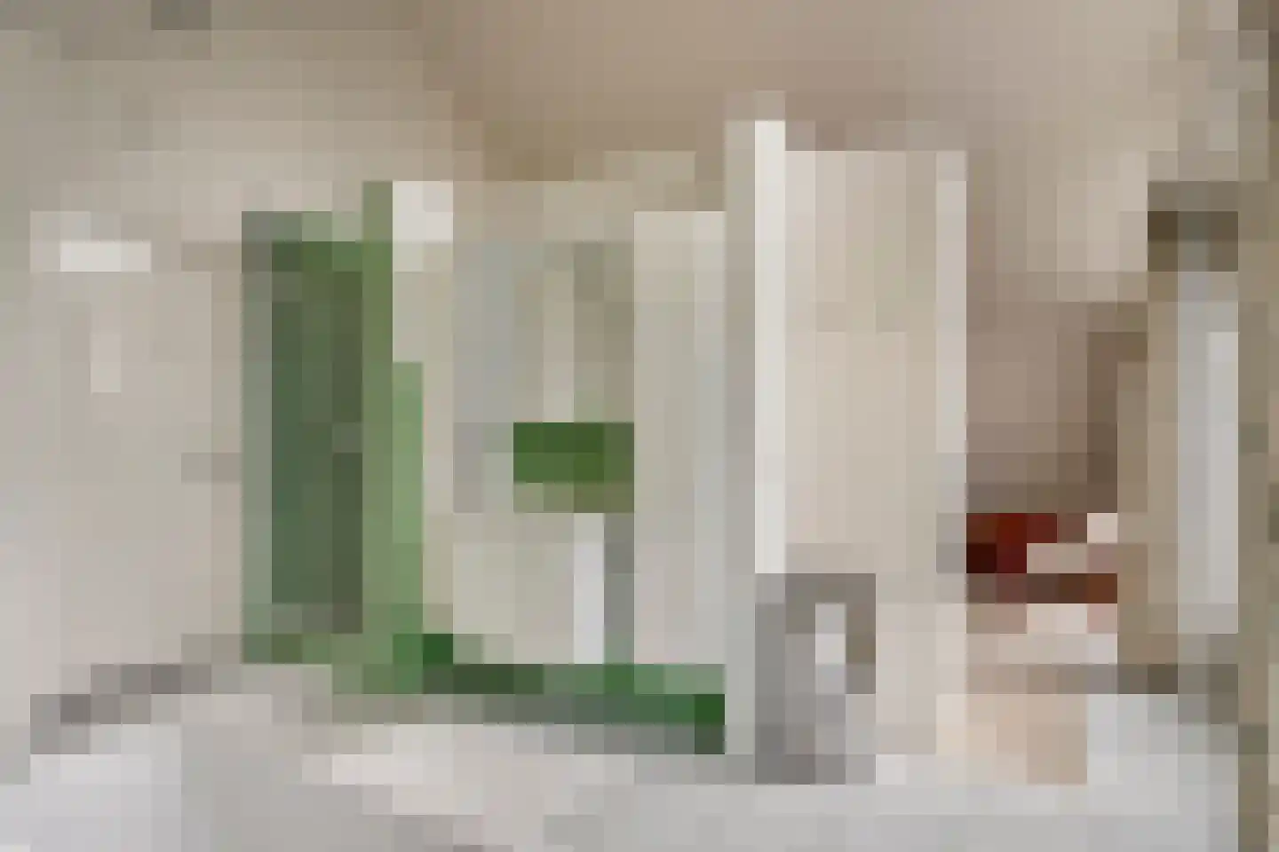 Geldropseweg 6 a Heeze thumbnail 38