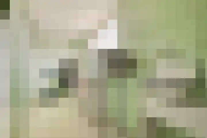 Geldropseweg 6 a Heeze thumbnail 38