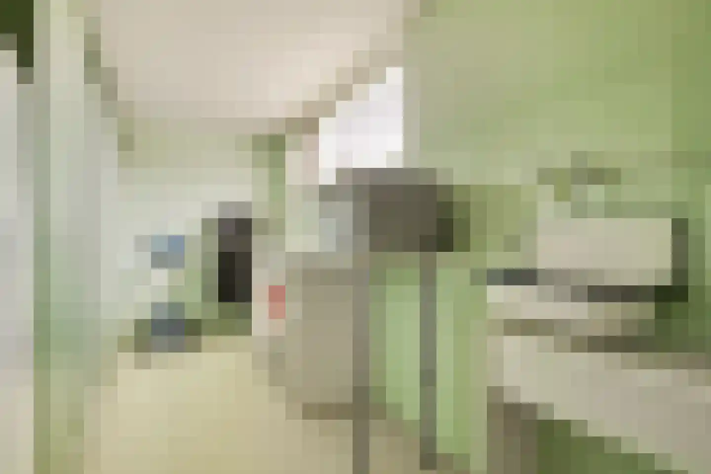 Geldropseweg 6 a Heeze thumbnail 38