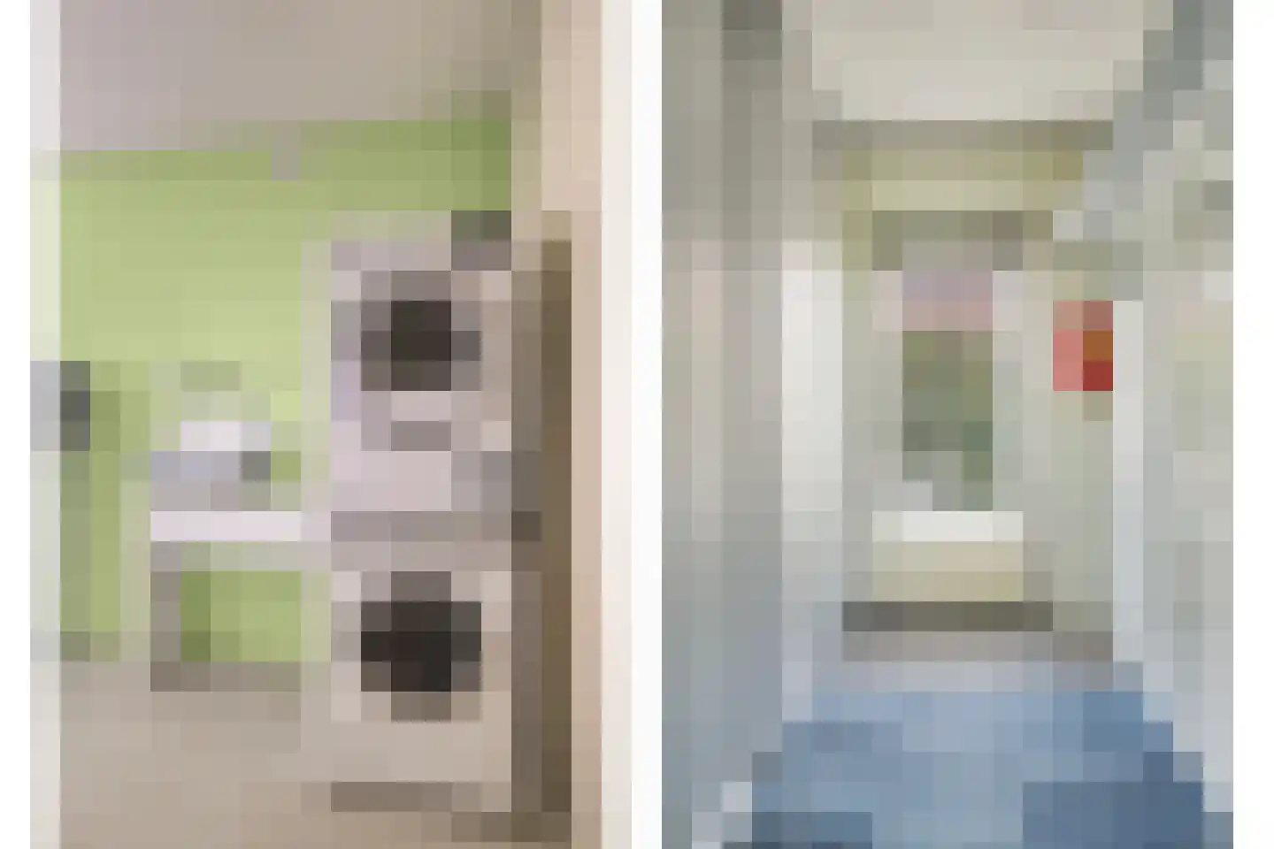 Geldropseweg 6 a Heeze thumbnail 39