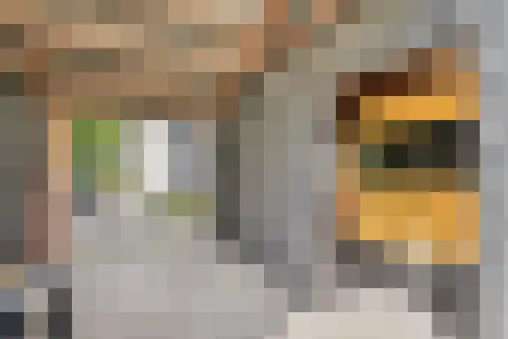 Geldropseweg 6 a Heeze thumbnail 43