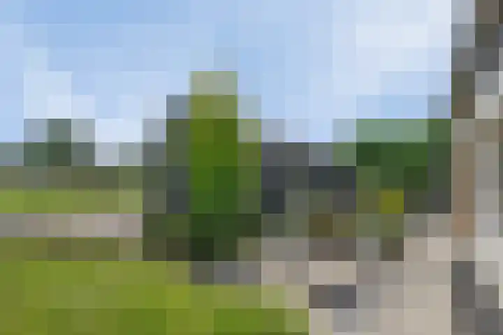 Geldropseweg 6 a Heeze thumbnail 44