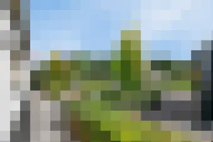 Geldropseweg 6 a Heeze thumbnail 45
