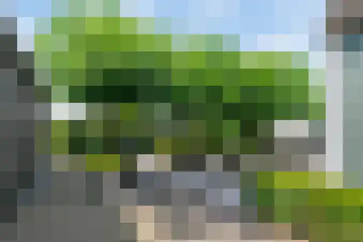 Geldropseweg 6 a Heeze thumbnail 46