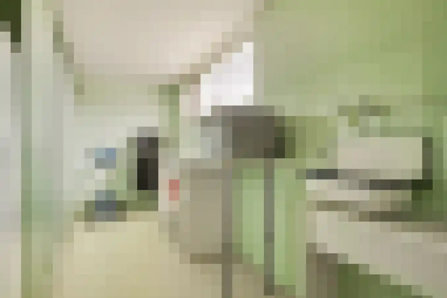 Geldropseweg 6 a Heeze thumbnail 46
