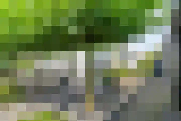 Geldropseweg 6 a Heeze thumbnail 48