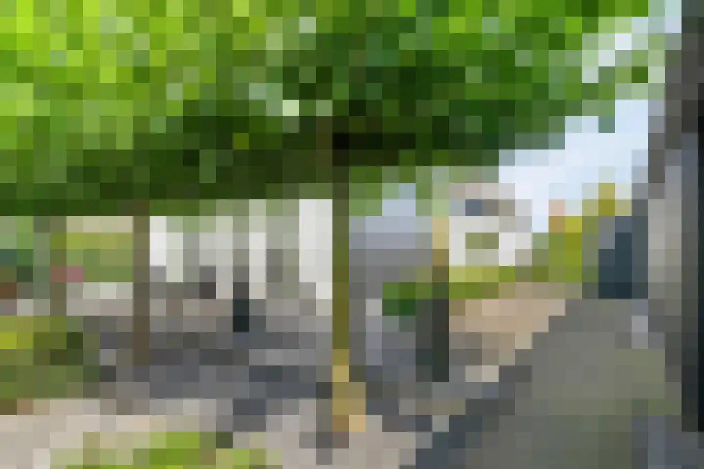 Geldropseweg 6 a Heeze thumbnail 48