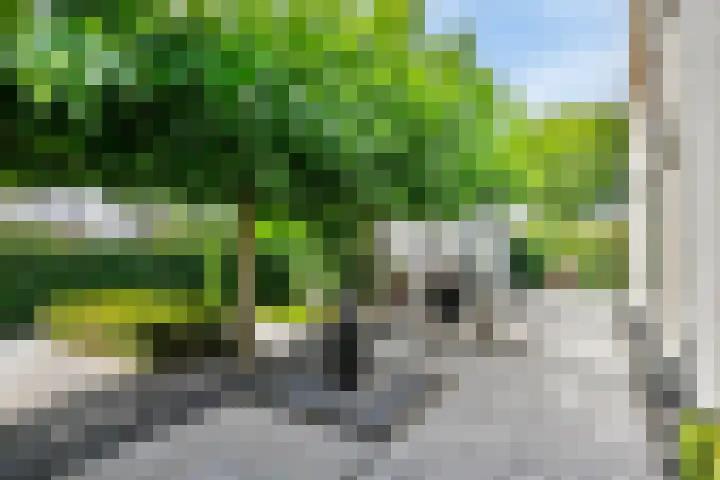 Geldropseweg 6 a Heeze thumbnail 49