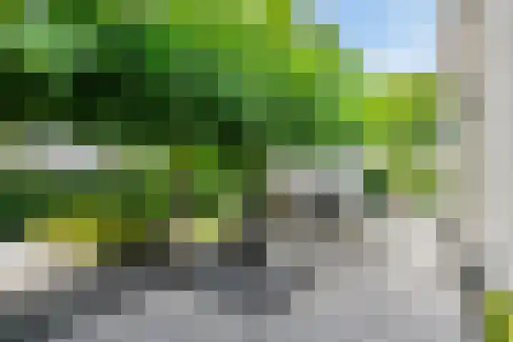 Geldropseweg 6 a Heeze thumbnail 49
